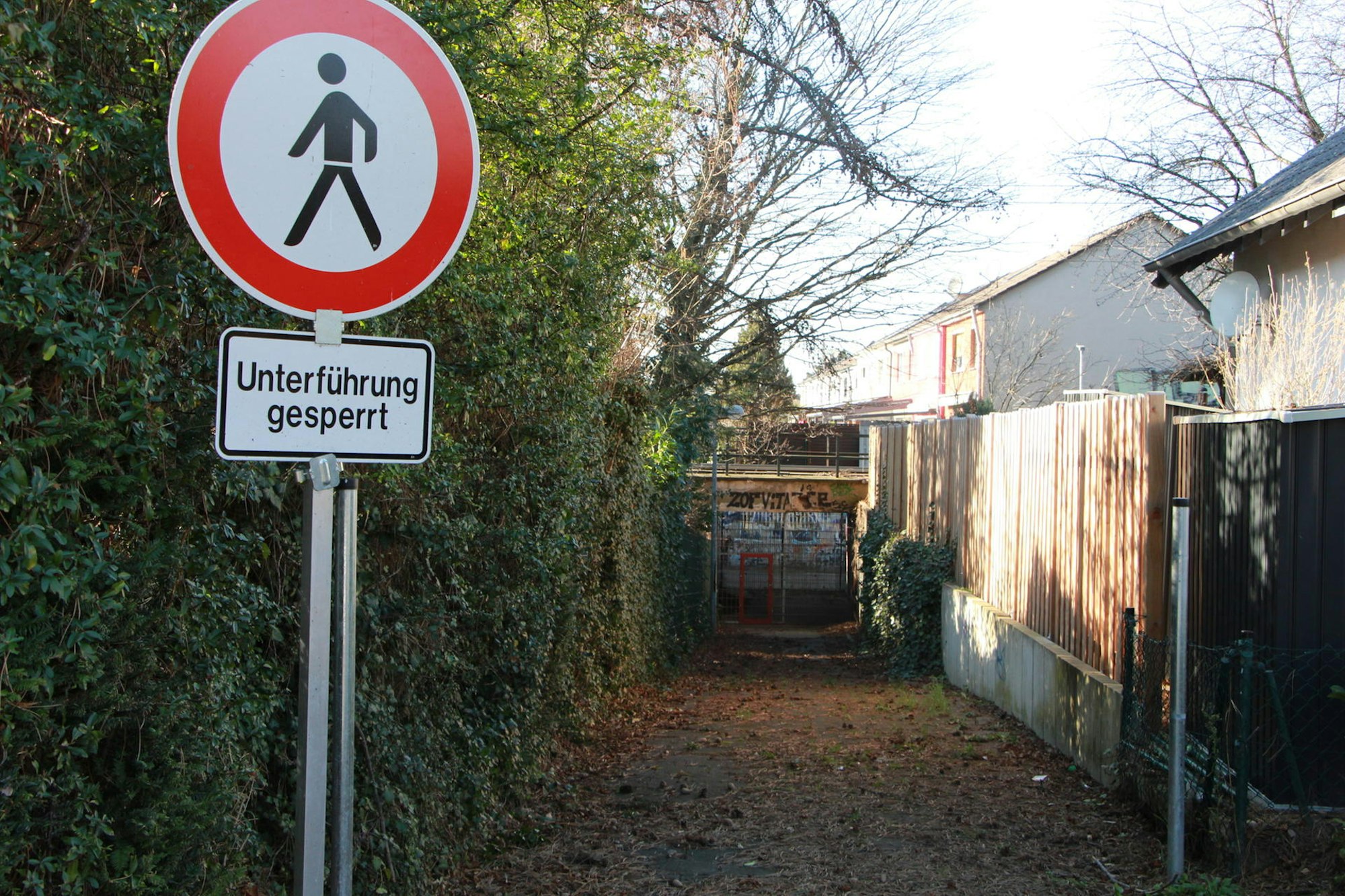 Neuer Inhalt (1)