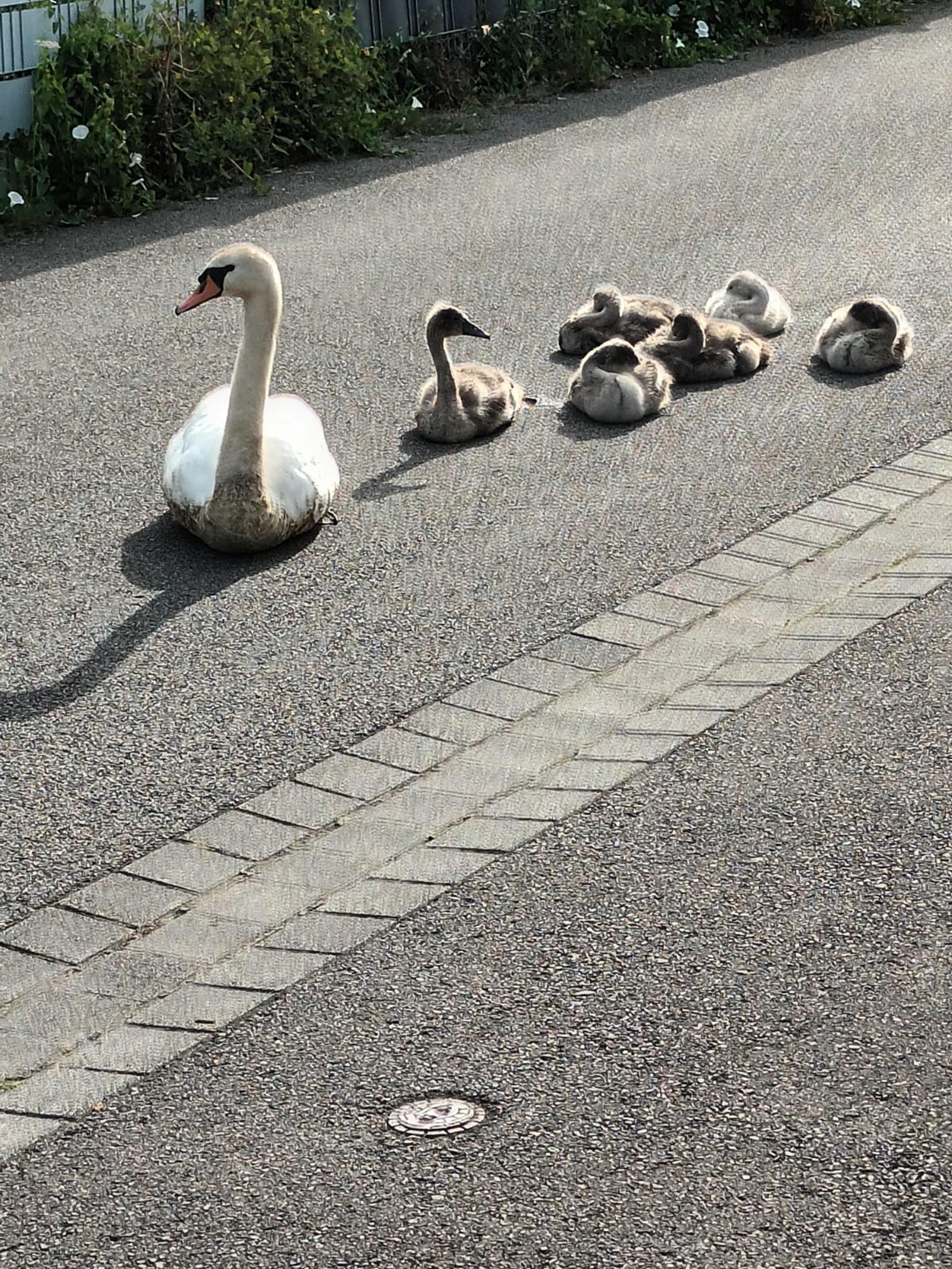 Neuer Inhalt (1)