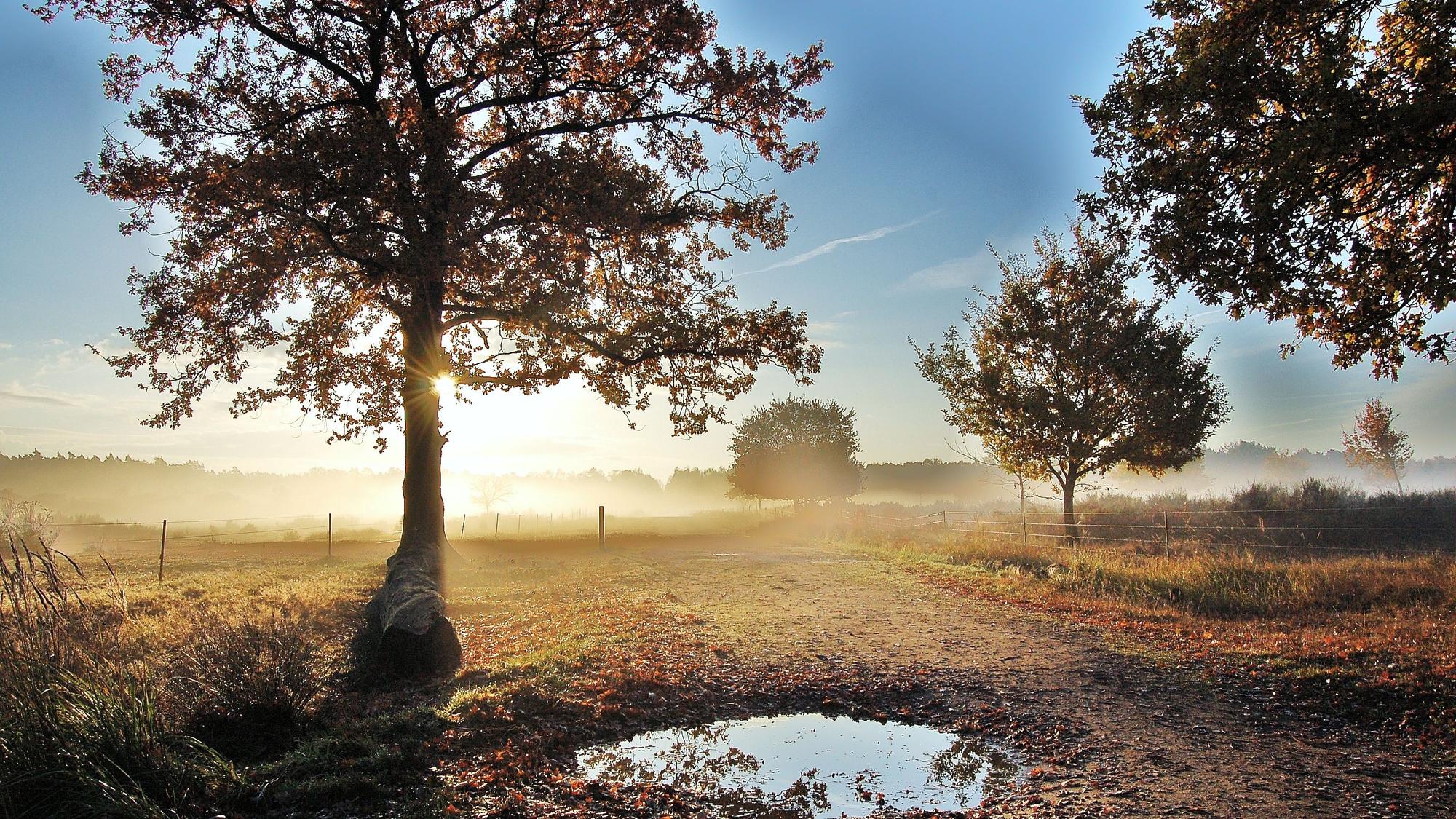 Bodennebel und Sonne treffen aufeinander.