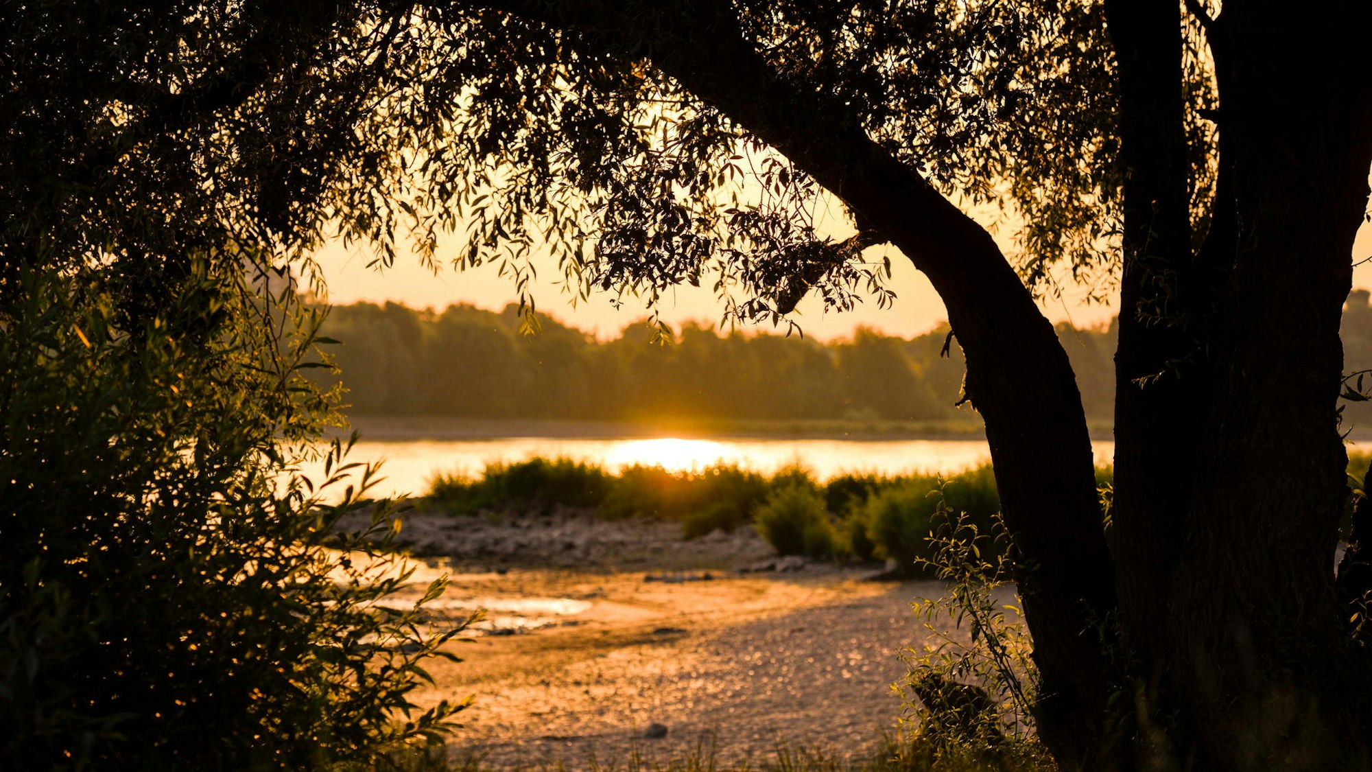 Sonnenuntergang am Rhein