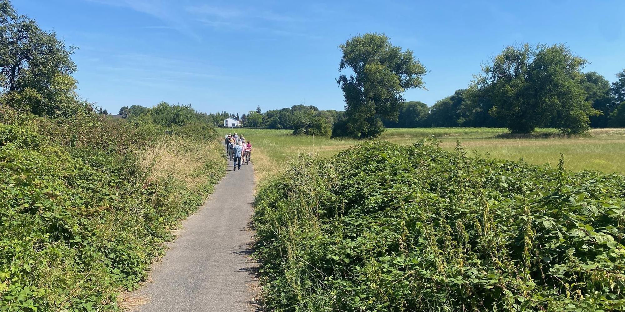 Aue1