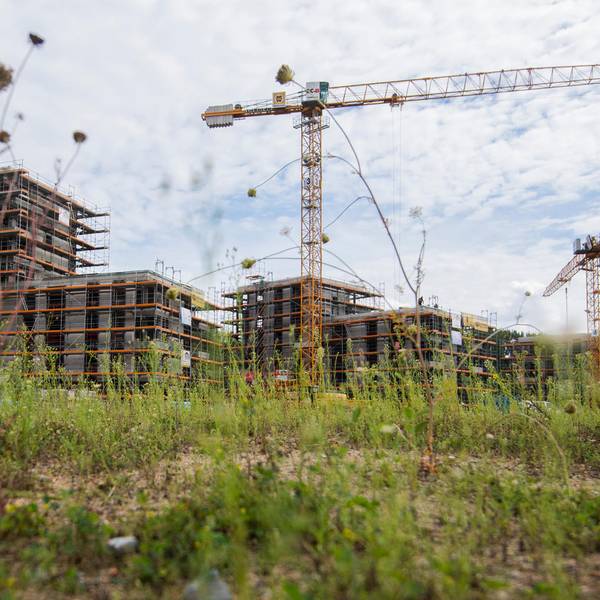 Neubau auf grüner Wiese