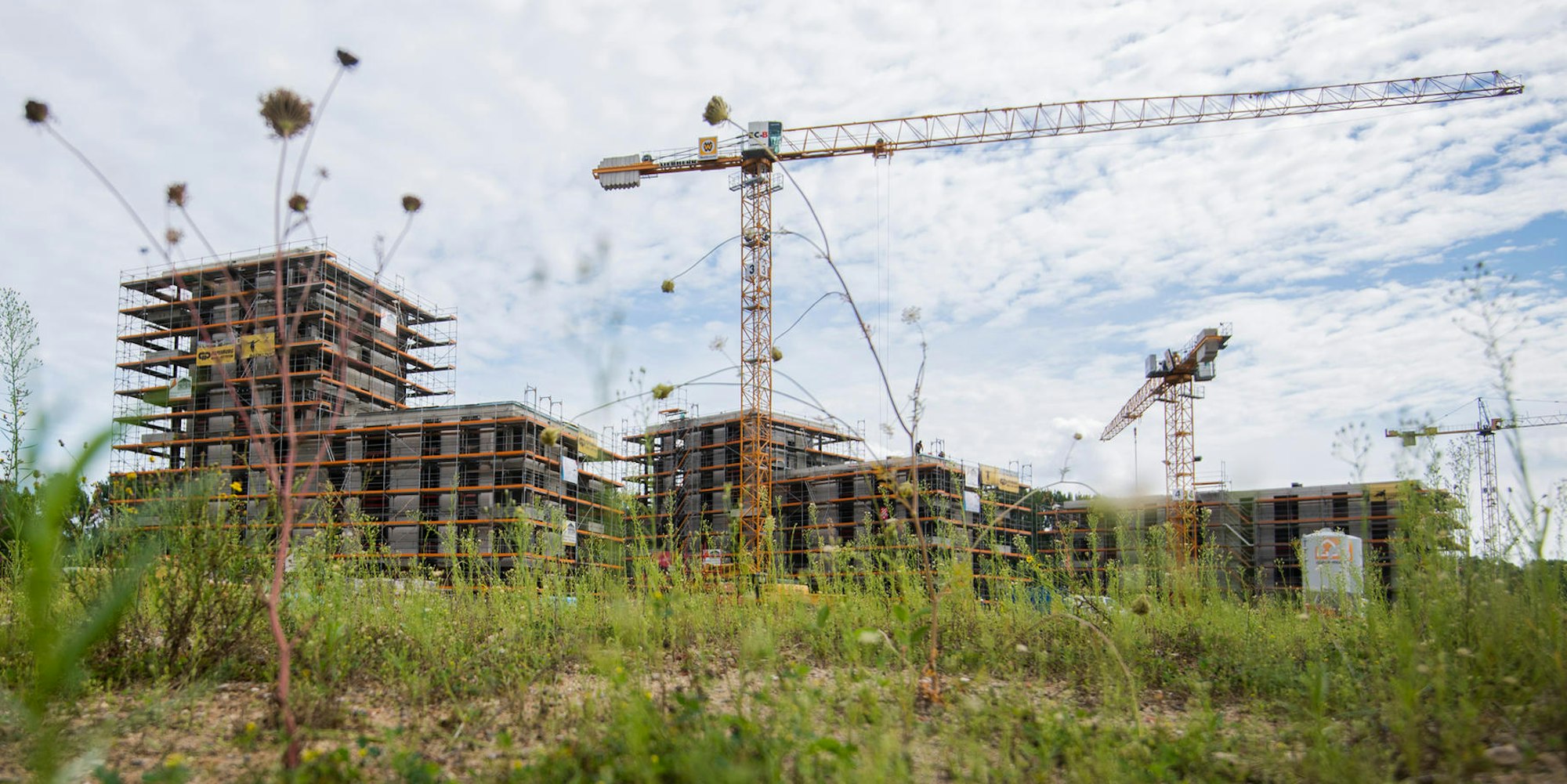 Neubau auf grüner Wiese