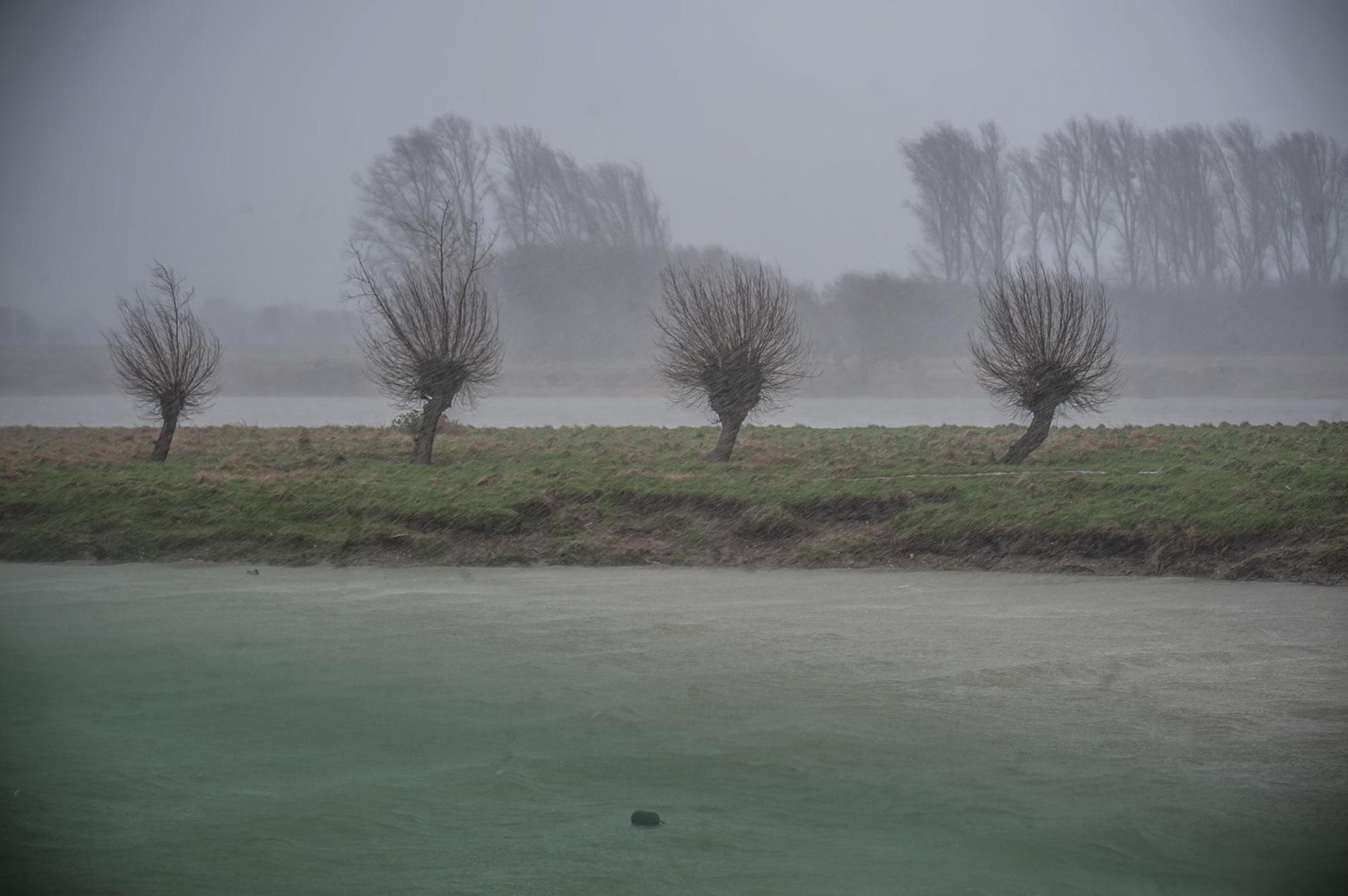 sturm_rar_RLE_02182022ALF_0165
