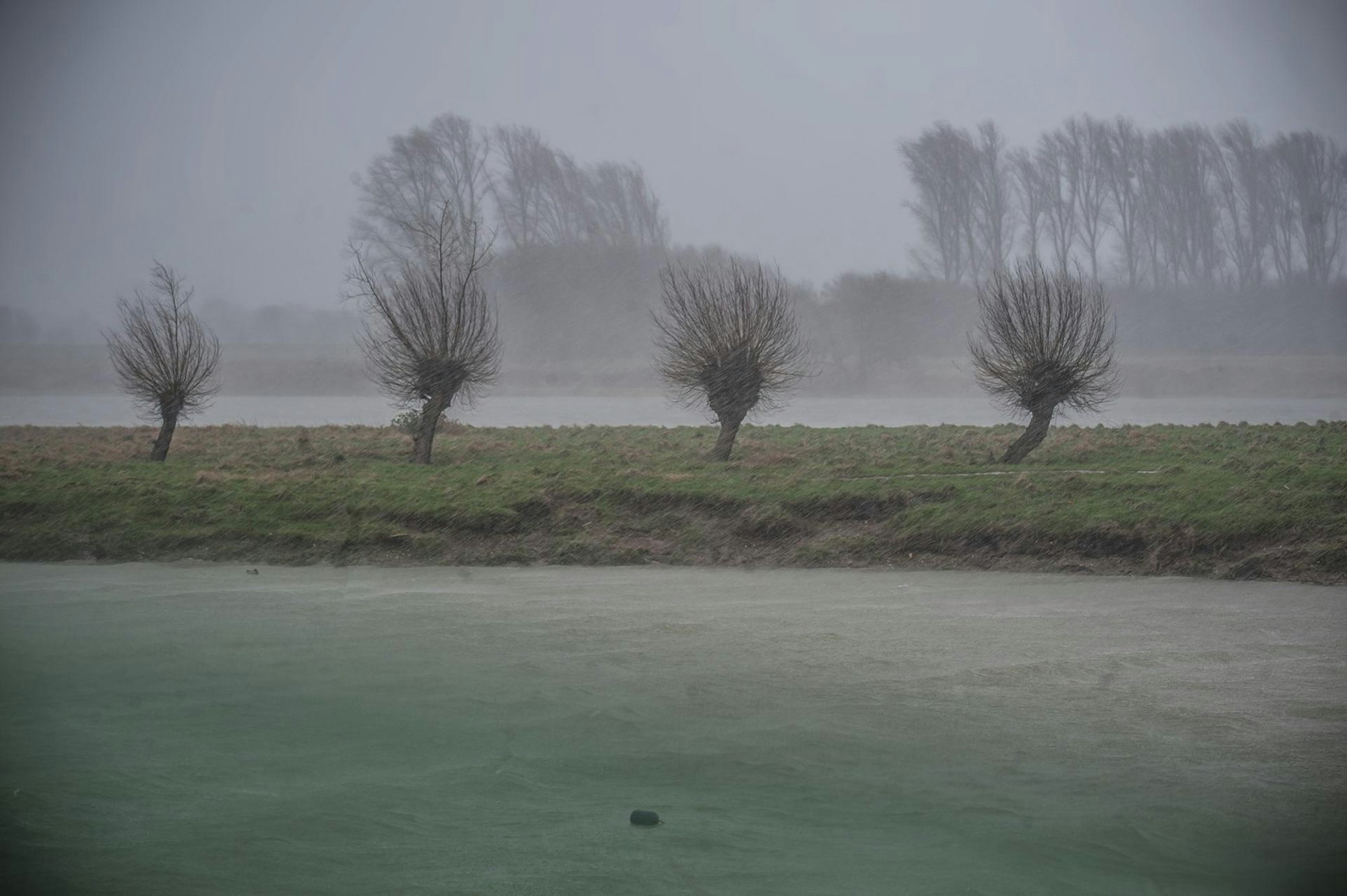 sturm_rar_RLE_02182022ALF_0165