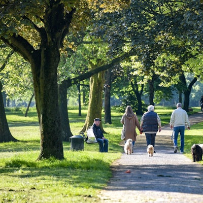 tier0_2018_05_22_MDS-KSTA-2018-05-22-71-132749345