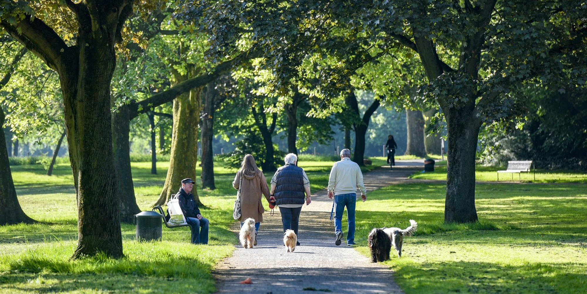 tier0_2018_05_22_MDS-KSTA-2018-05-22-71-132749345