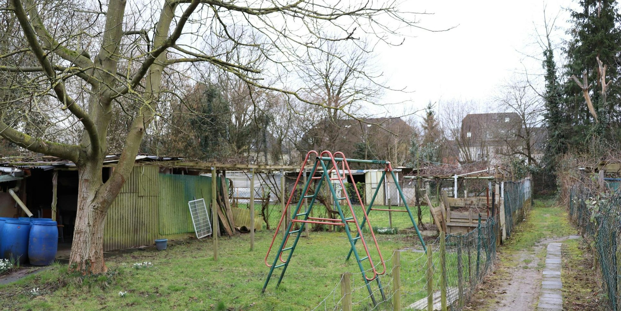 aef-kochwiesen-3
