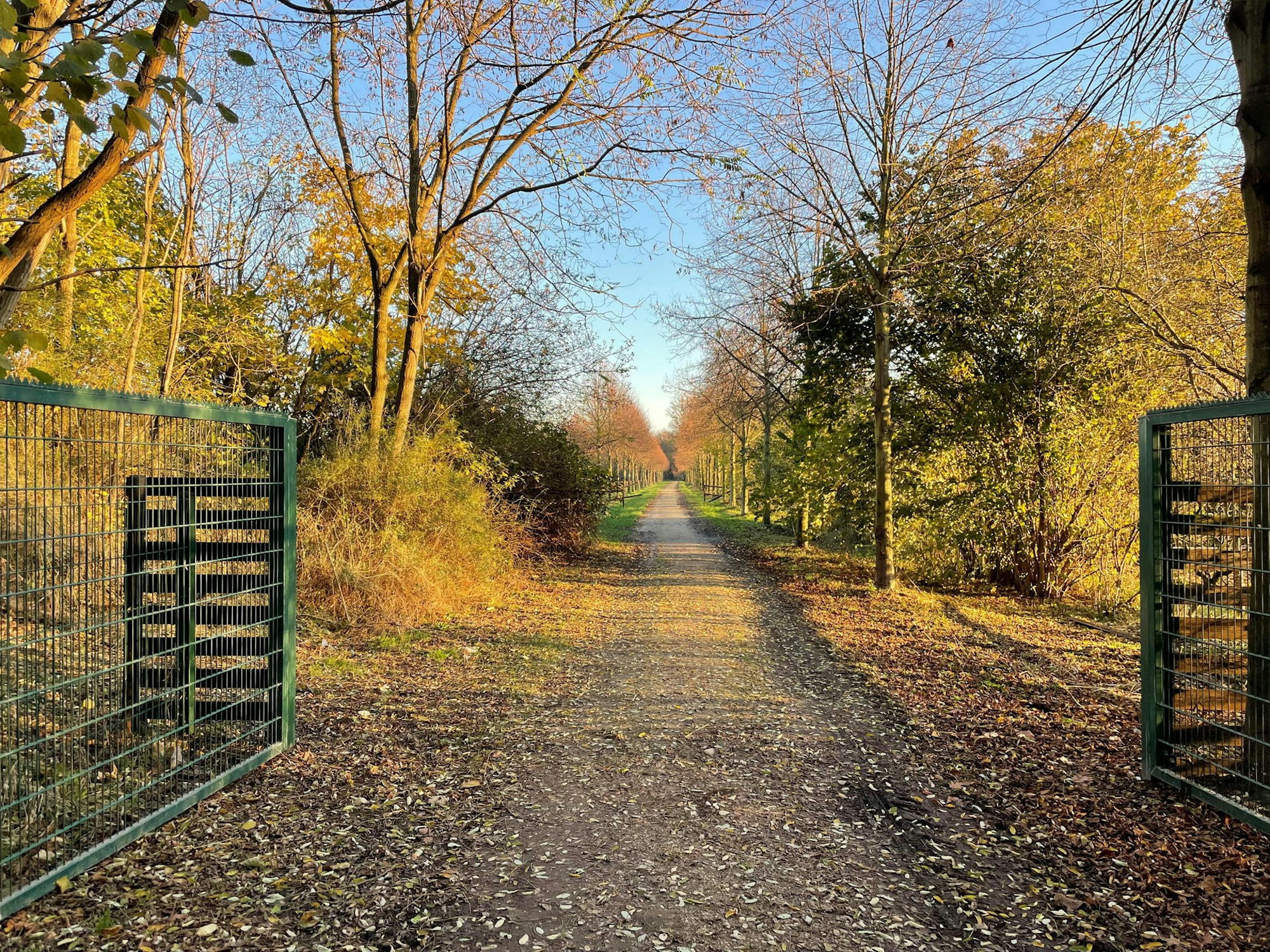 Bergheim_Schloss_Frens_4