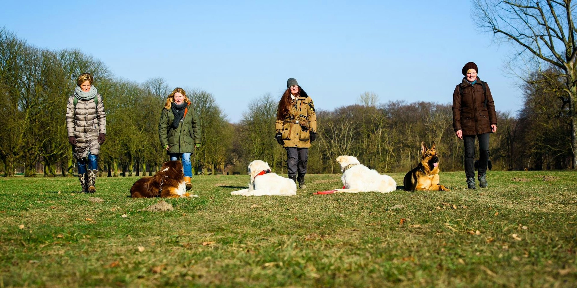 hundeschulen2