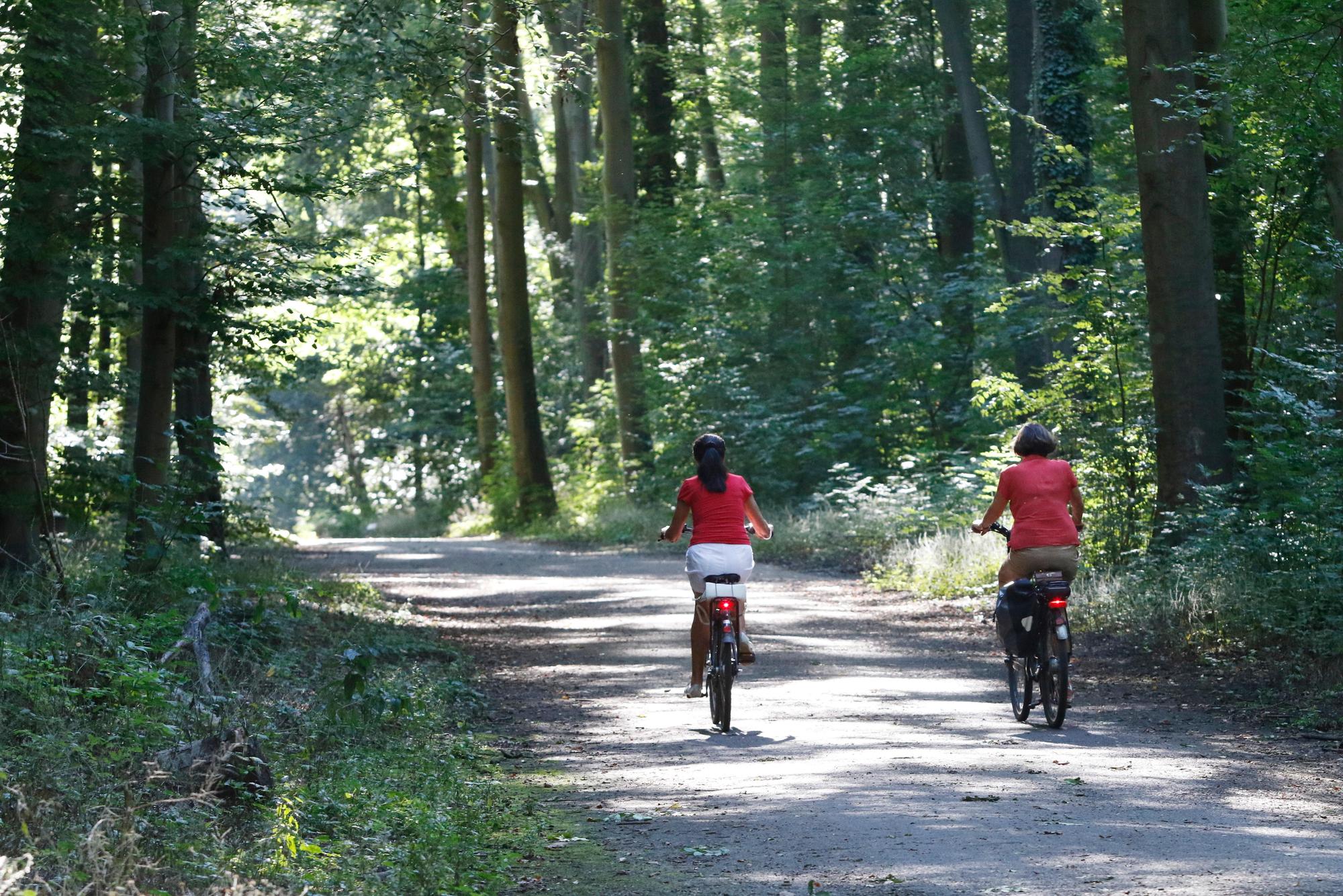 240816kalte_orte18_Wald