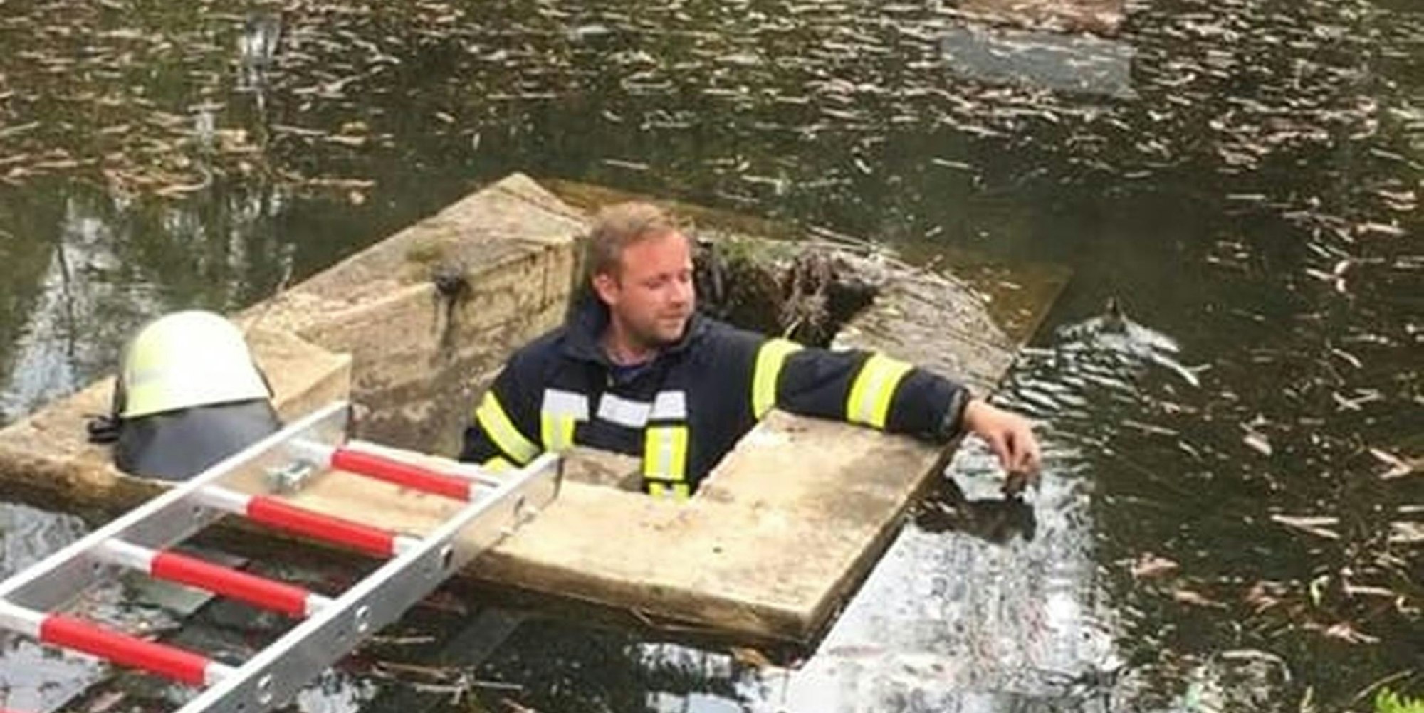 20220505-NTH-Feuerwehr-Enten