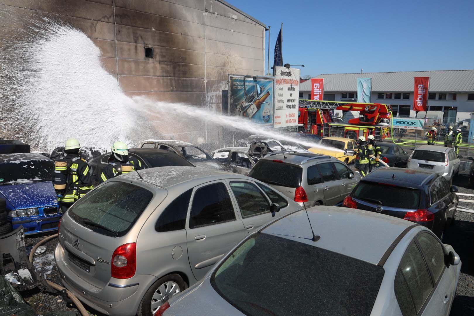 LE_brand1