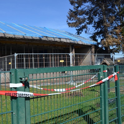 2019-03-22-eu-kita-kreuzweingarten 07