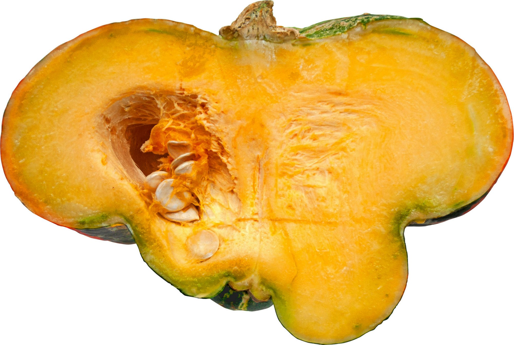 Bischofsmütze-aufgeschnitten-_DSC7232