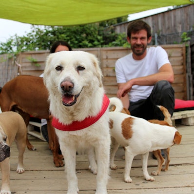 Susi_und_Strolch,_Pu-Brauweiler___035-001