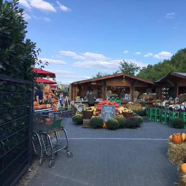 kürbismarkt gertrudenhof Laura Klemens