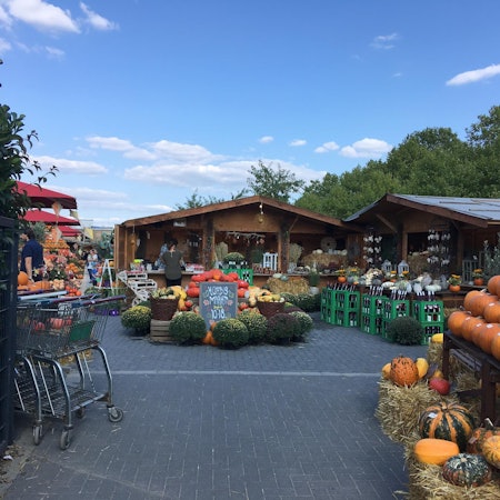 kürbismarkt gertrudenhof Laura Klemens