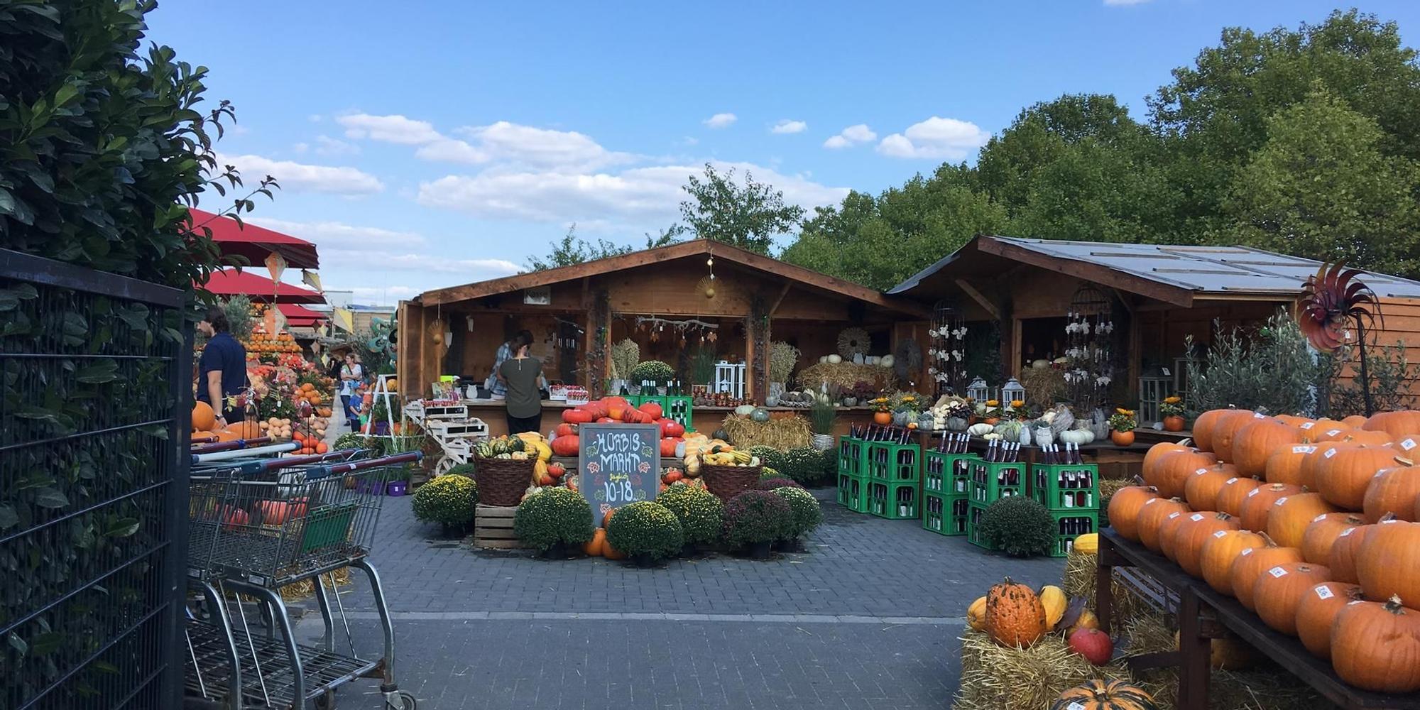 kürbismarkt gertrudenhof Laura Klemens