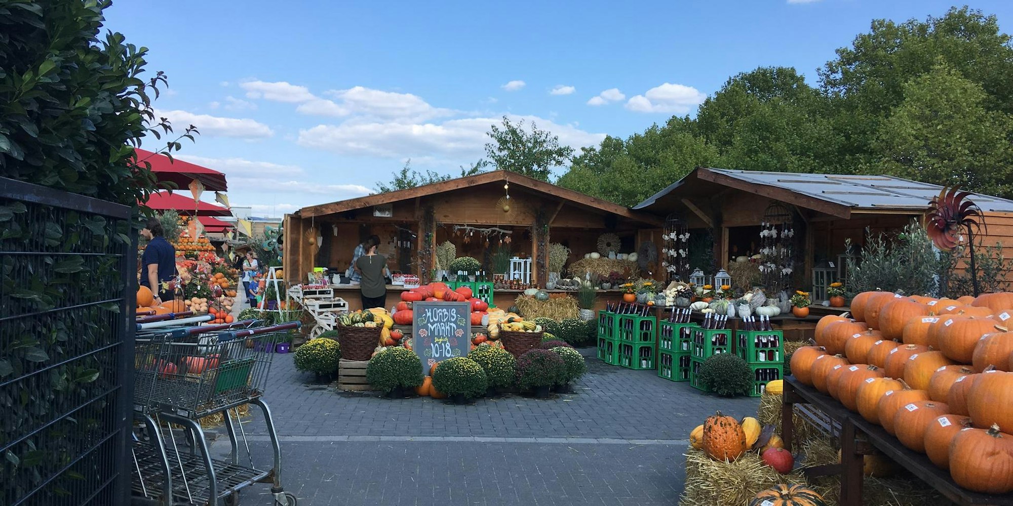 kürbismarkt gertrudenhof Laura Klemens