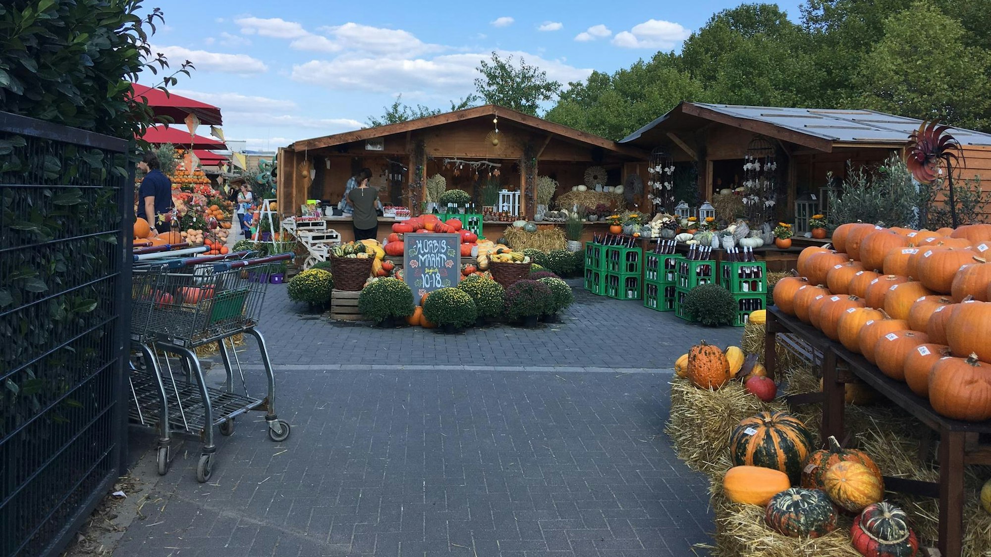 Kürbismarkt auf dem Gertrudenhof. (Archivbild)