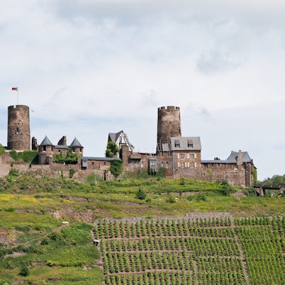 Von Weinbergen umgeben – die Nordwestansicht der Burg Thurant