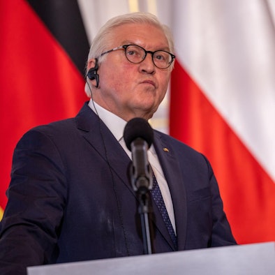 Steinmeier Polen dpa 130422