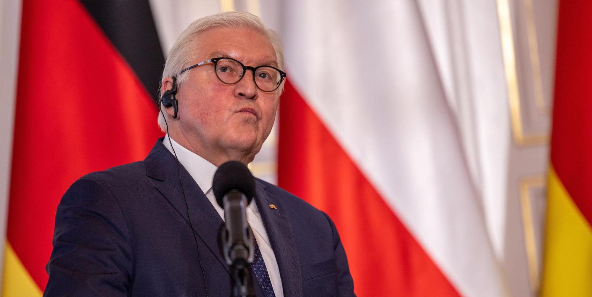 Steinmeier Polen dpa 130422