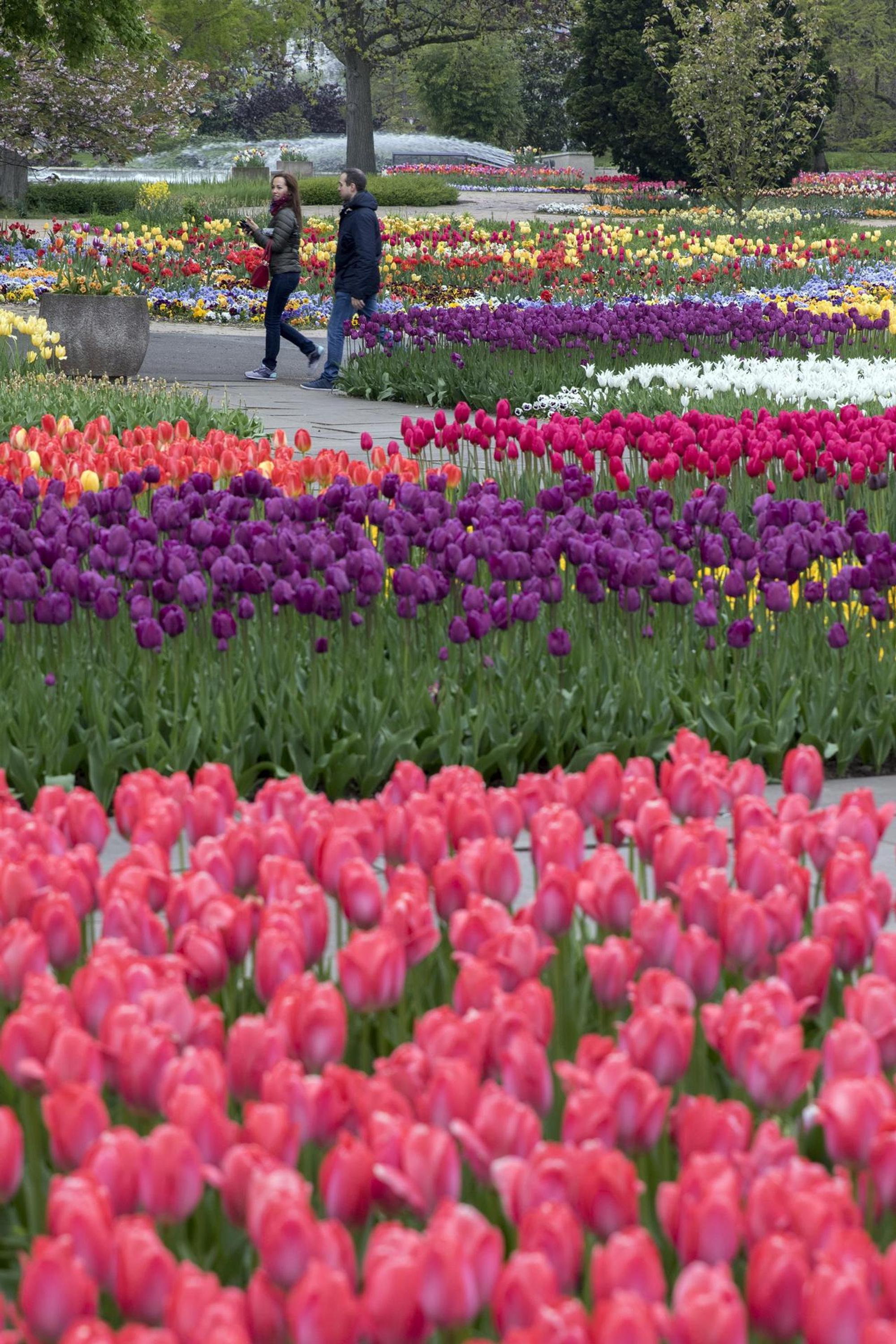 Neuer Inhalt