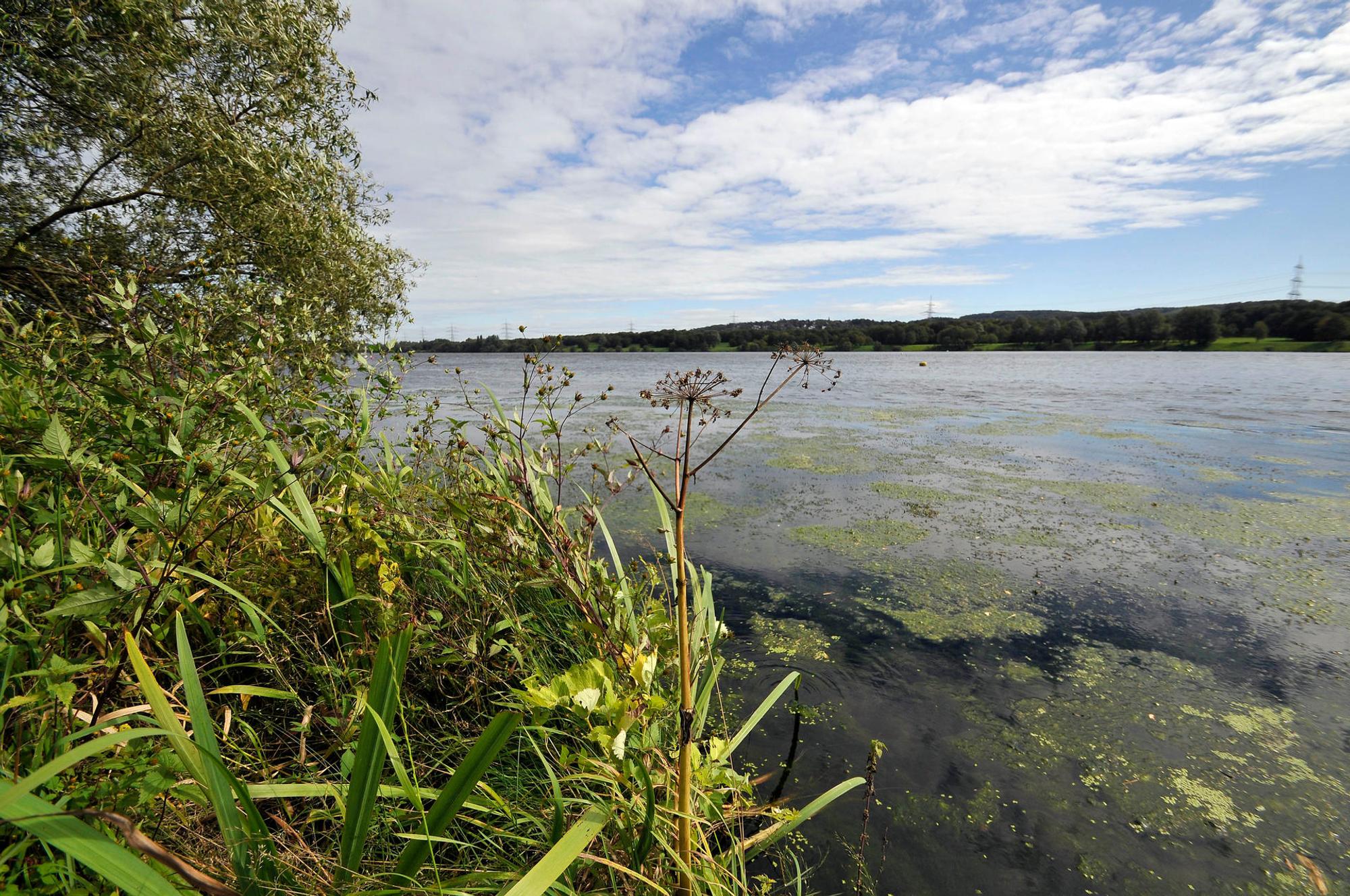 kemnader see witten dpa bild