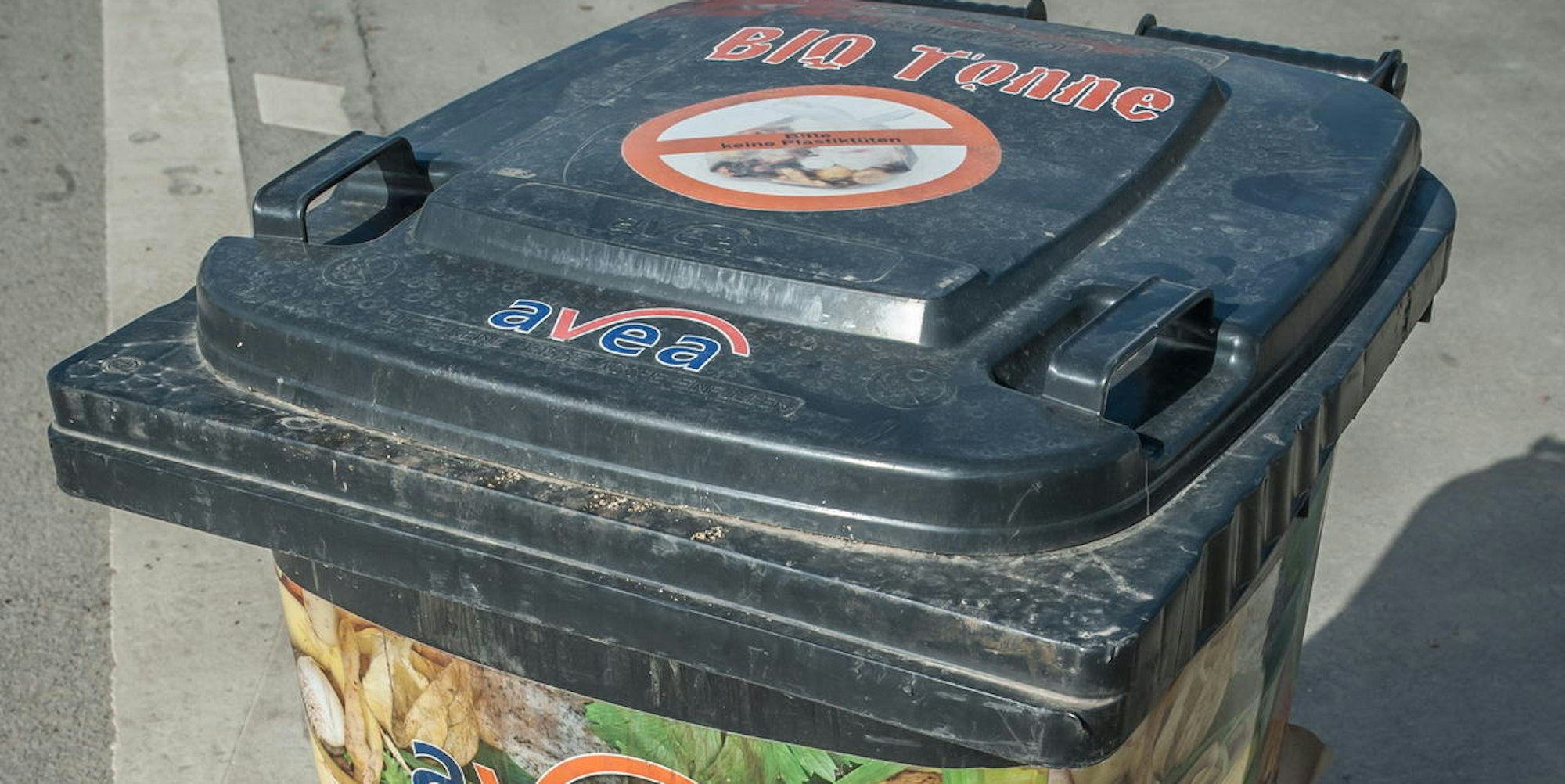 gruenschnitt-heiligeneiche-leverkusen_24022021ALF_8030