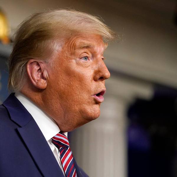 Trump 071120 NEU
