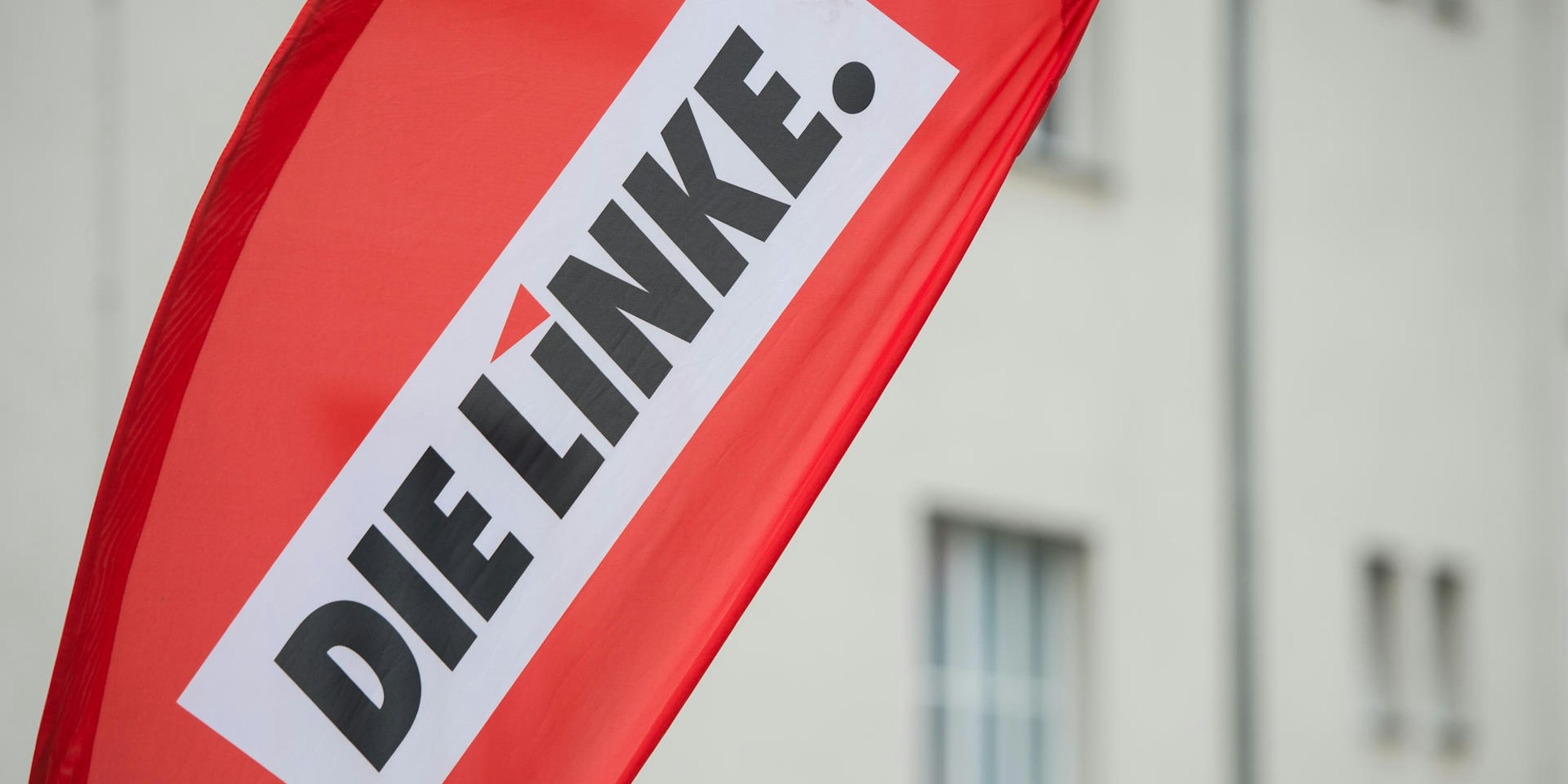 Die Linke (1)