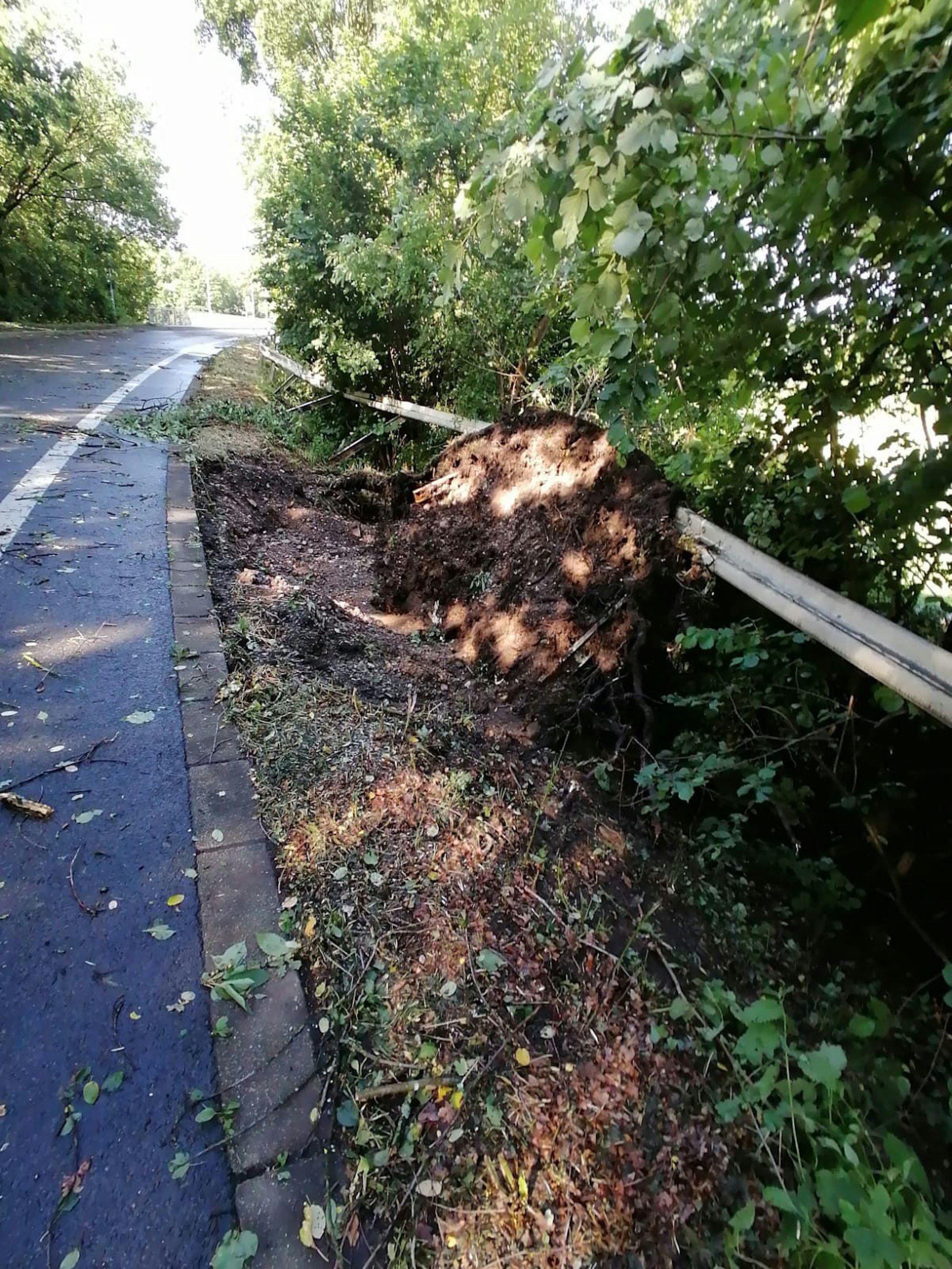 Baum_umgestuerzt_Hennef