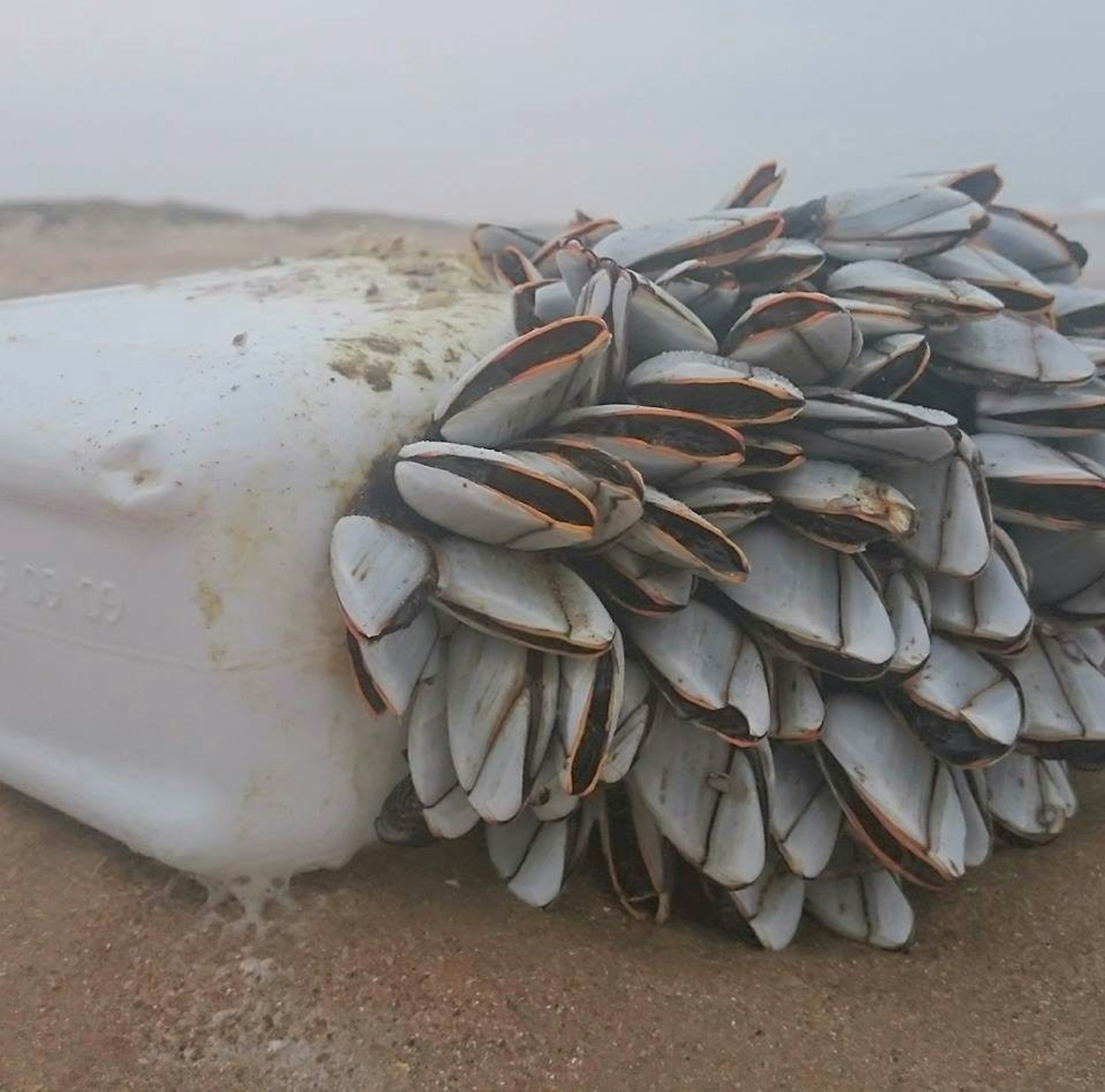 MDS-KSTA-2018-09-06-71-137225647