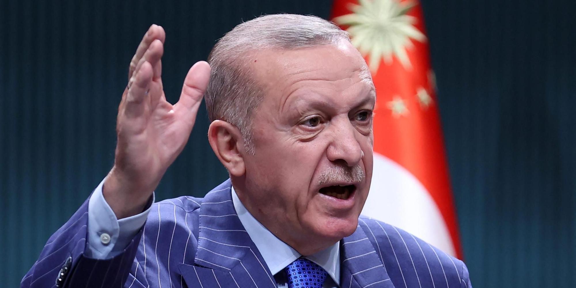 Erdogan AFP 130522