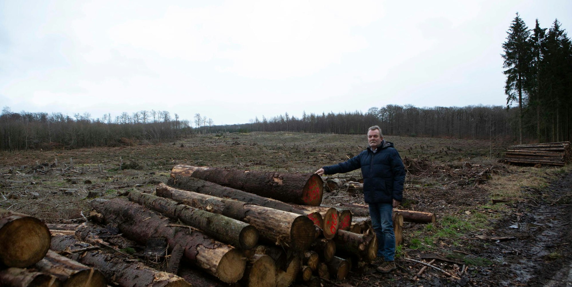 Windraeder_katzenberg