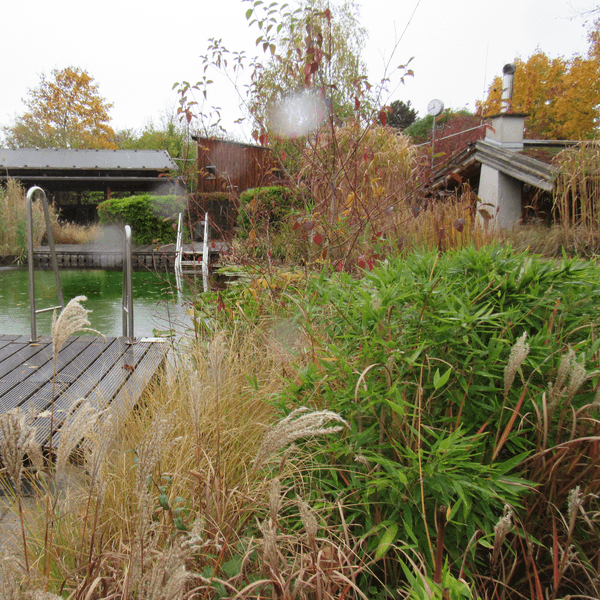 Wahner Sauna