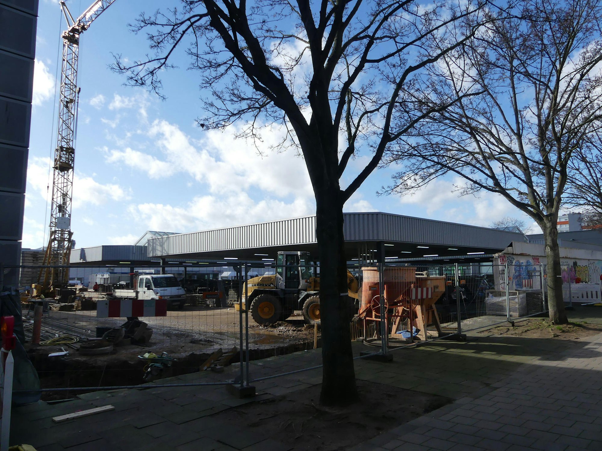 roes-fleischhauer-aerger-001