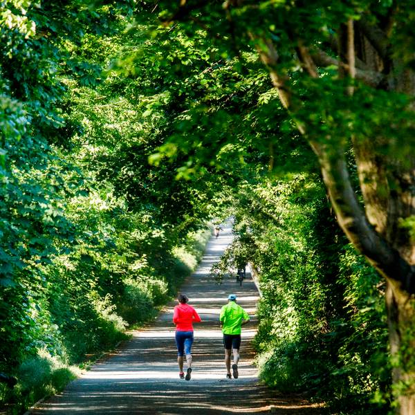 Laufen_Joggen_Freizeitsport_65420428