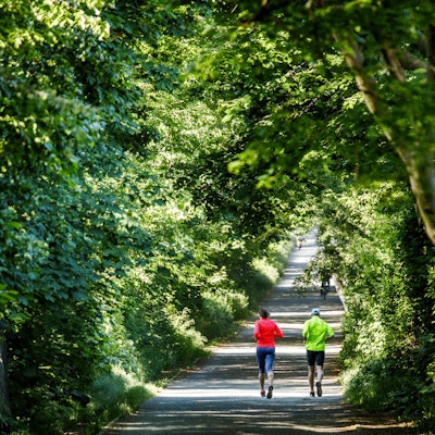 Laufen_Joggen_Freizeitsport_65420428