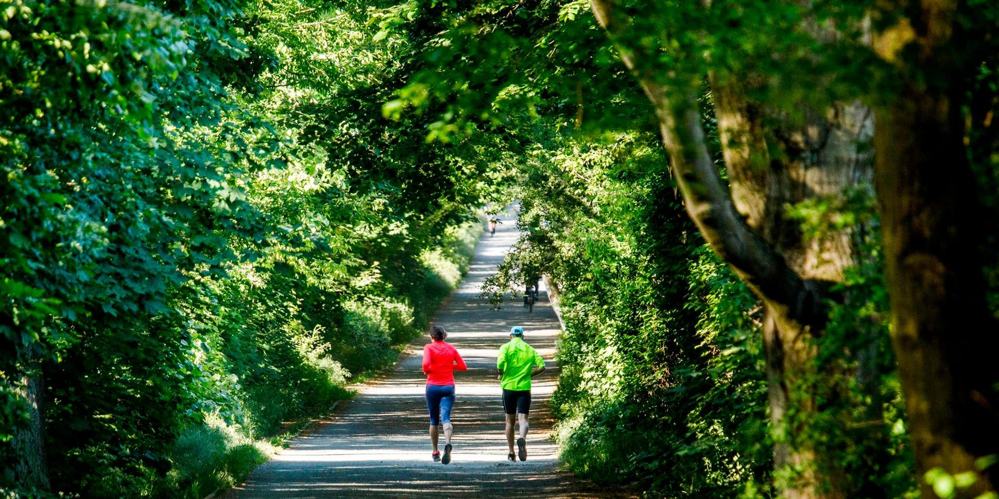 Laufen_Joggen_Freizeitsport_65420428