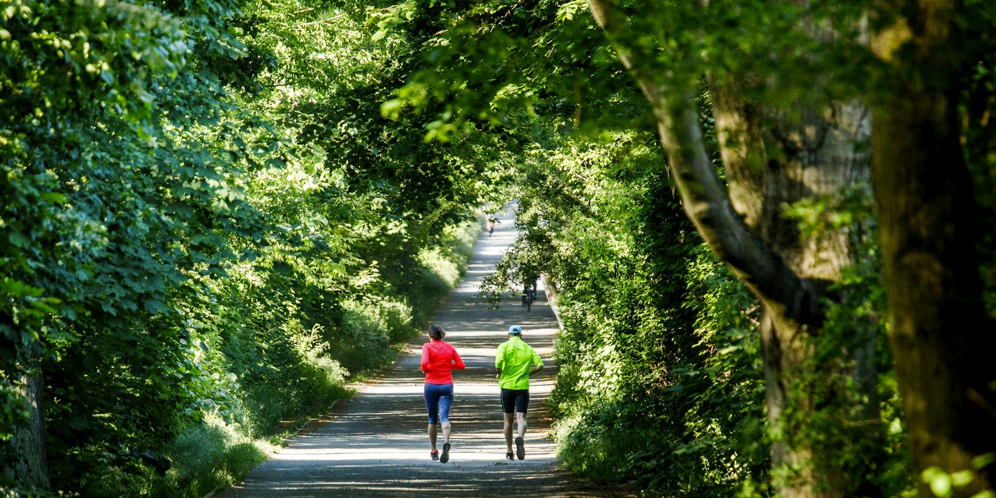 Laufen_Joggen_Freizeitsport_65420428