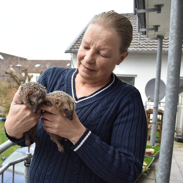 Barbara_Geiger