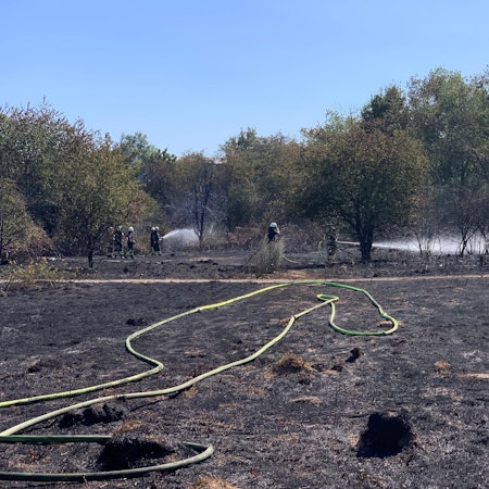 Waldbrand Holweide Evers_2