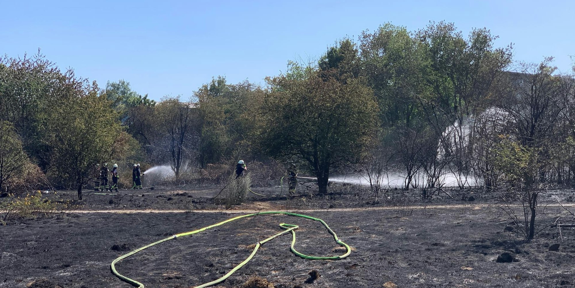 Waldbrand Holweide Evers_2
