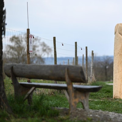 Holzpenis Ravensburg