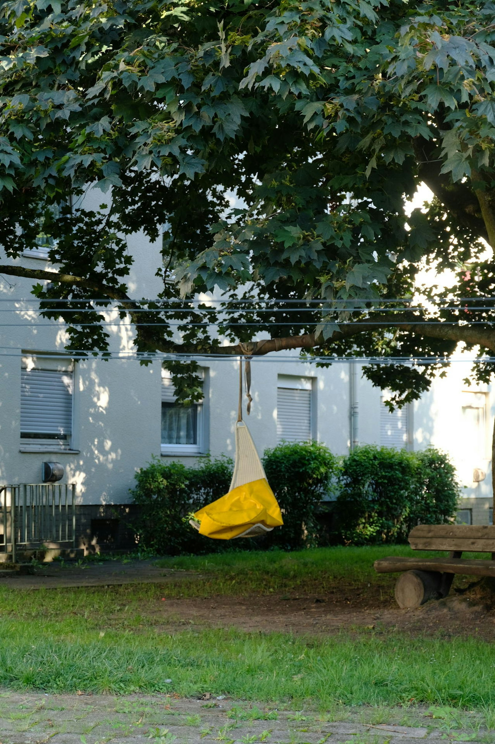 digas-166952359_MDS-KSTA-2019-11-14-71-154329336