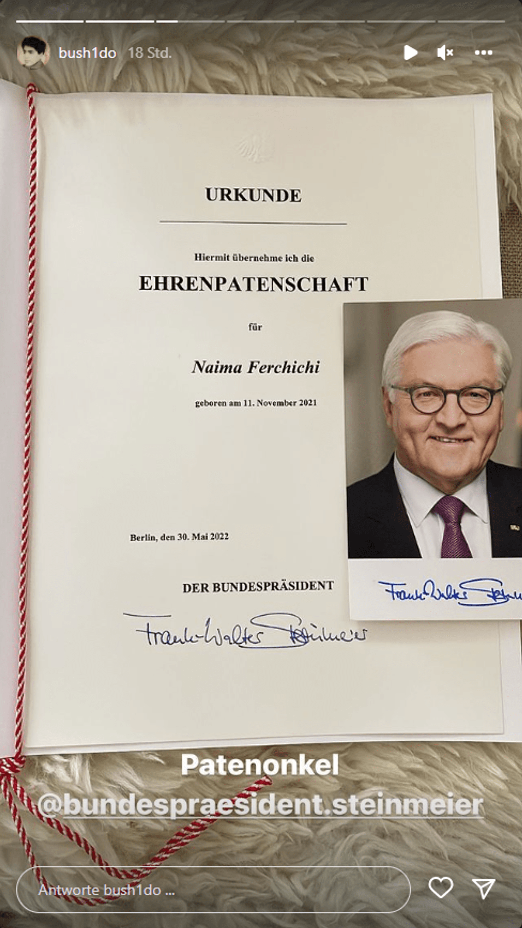 Bushido Steinmeier