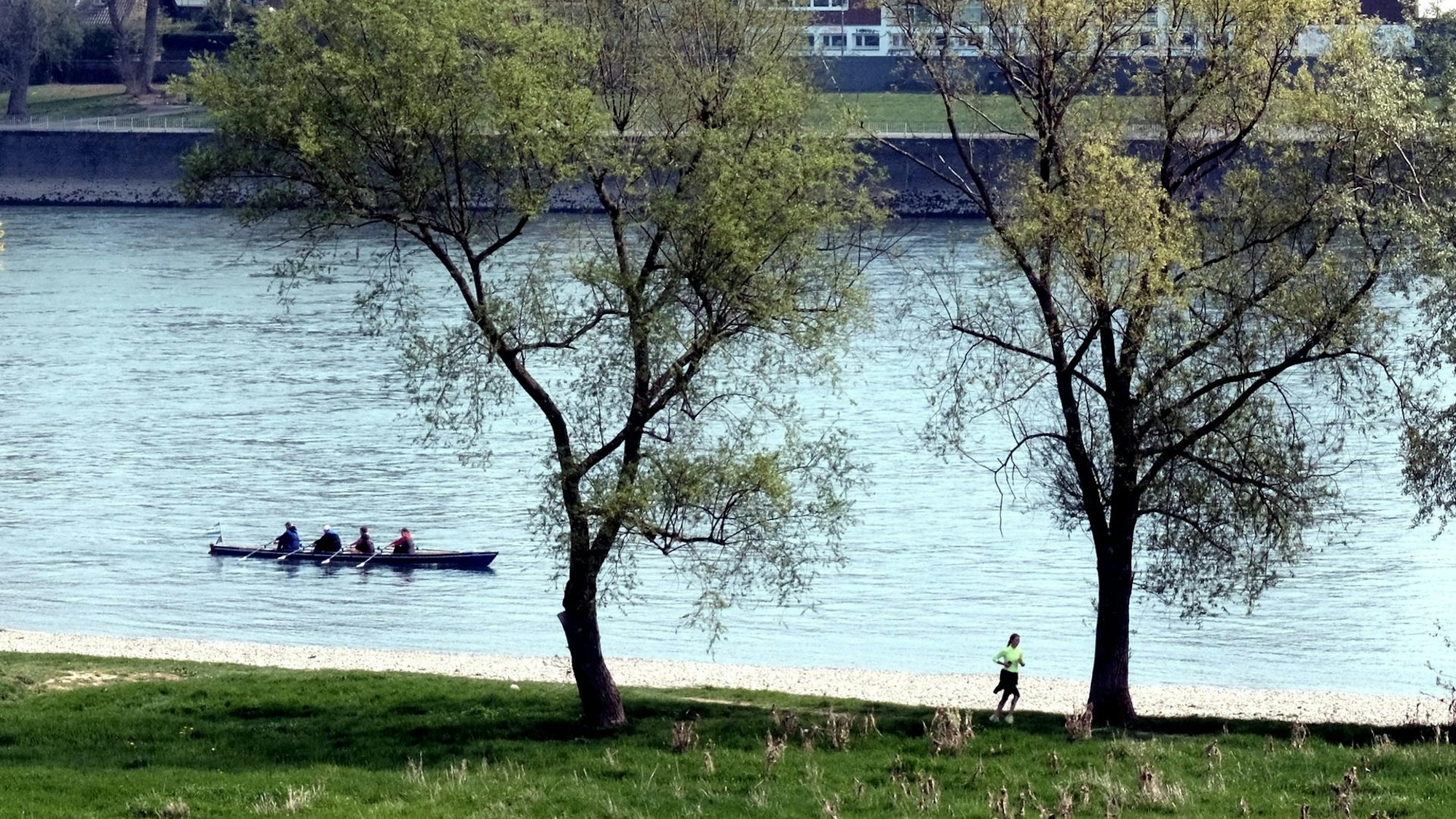 Die Rheinaue in Niehl.